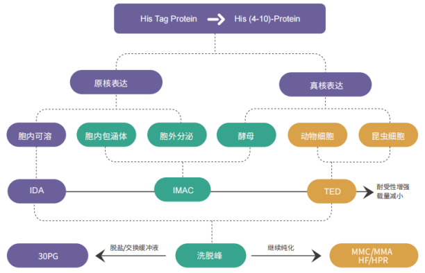 6a2e8660be092.png