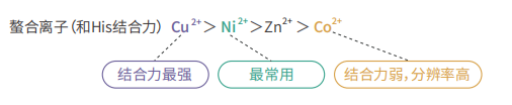 6a2e8664de009.png